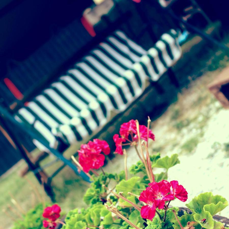 Garlate B&B Red House מראה חיצוני תמונה